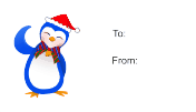 Penguin (white background)