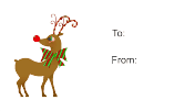 Reindeer (white background)