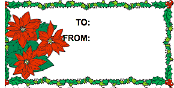 Christmas Poinsettia