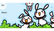 Jumping Bunnies